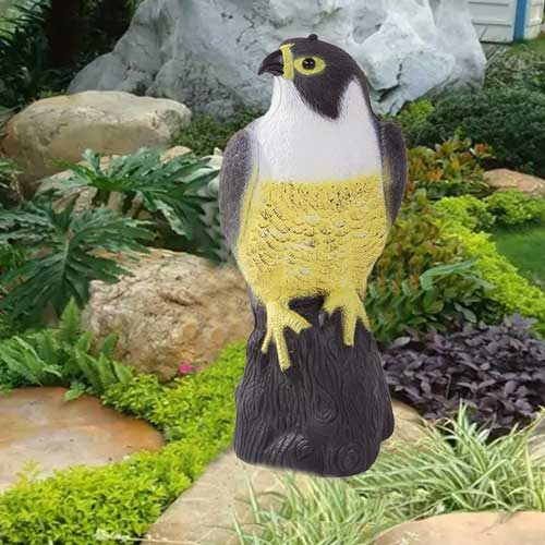 maketa plenilca, ptičje strašilo